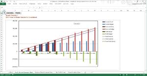 Profit And Loss Forecast Chart Budgetlink Wiki