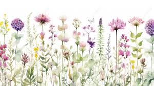 Watercolor Wildflower Delight A