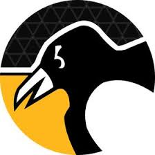Pittsburgh penguins decal home state pride style. Pittsburgh Penguins Pghpenguins Profile Pinterest