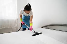 carpet and floor cleaning services