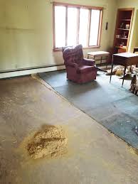 I'm rehabbing a property with wood flooring to refinish or carpet i'm in it for the long haul. What S Hiding Under That Carpet Bunches Of Joy