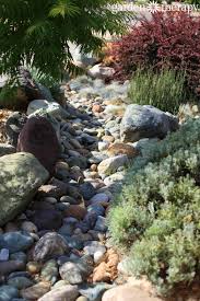 Landscaping For Drought Inspiring