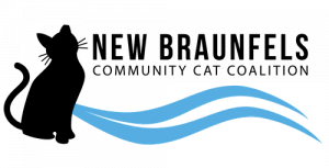 The feral cat must be in a safe, humane cat trap and covered with a small blanket or towel (we cannot accept ferals brought to us not in a trap). Feral Cats Humane Society Of The New Braunfels Area