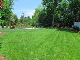 Lawn Care Grass Cutting In Fairfield Ct Stopa