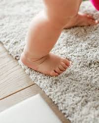 the 1 carpet cleaning in portland or