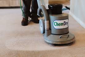 what your carpet cleaner wants you to