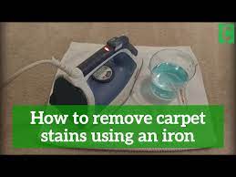 remove carpet stains using an iron