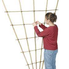 Build A Bamboo Trellis Finegardening