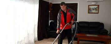 carpet cleaning auckland expert