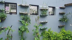 55 Wall Gardens Ideas And Designs For