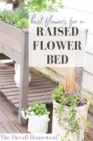 Build And Plant A Raised Flower Bed