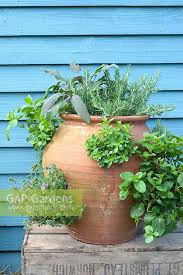 Herbs Planteed In A Stock Photo By