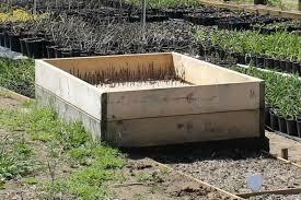 Raised Garden Beds