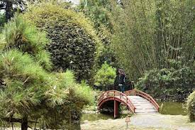 lankester botanical garden