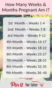 Pin On Week By Week Pregnancy Chart