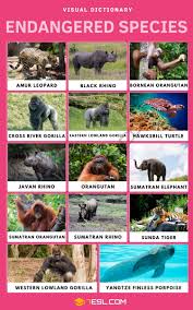 list of critically endangered species