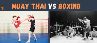 muay thai vs boxing mma today