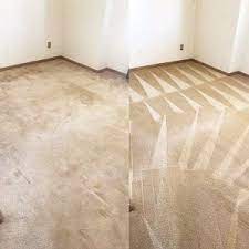 top rated carpet cleaning in south dublin