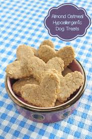 almond oatmeal hypoallergenic dog treat