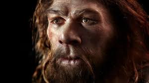 Did Neanderthals go to war with our ancestors? - BBC Future