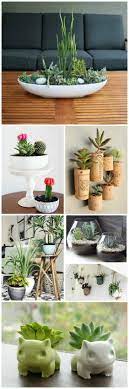 20 cute indoor succulent plant decor