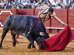 Figuras, toreros emergentes y los toros de Miura y La Quinta en Albacete |  Cultura | EL PAÍS