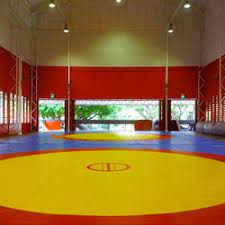 wrestling mats at best in delhi