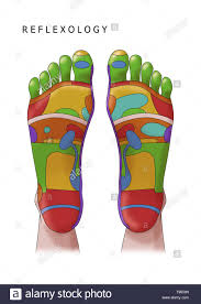 Illustration Of The Feet Showing Foot Reflexology Zones