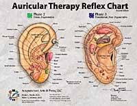 Auricular Therapy Reflex Charts Ear And Hand