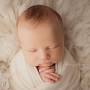 Bri Sullivan Photography - Houston Newborn & Baby Portrait Photography from www.pinterest.com