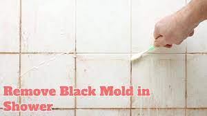 remove black mold in shower and other