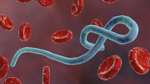 All employees of the facility do not get in touch. Who Declares Congo Ebola Outbreak A Public Health Emergency Of International Concern Abc News