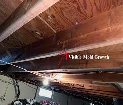 You should get rid of them whether they are yellow. The Truth Mold In Basements