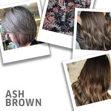 ash brown hair color ideas and formulas