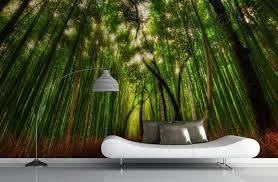 47 bamboo forest wall mural wallpaper