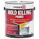 ZINSSER Mold Killing Primer