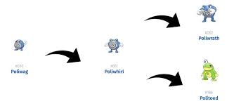 Detailed Poliwhirl Evolution Chart Poliwag Evolution Chart