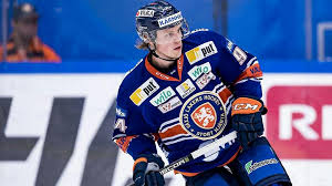 Svenska hockeyligan) is a professional ice hockey league, and the highest division in the swedish ice hockey system. Blog Persson Earns Shl Player Of The Month Honours