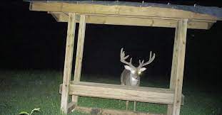 how to build a trough style deer feeder