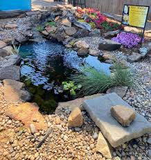 25 Homemade Diy Pond Ideas For Backyard