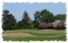 Village Green Golf Course | Mundelein IL