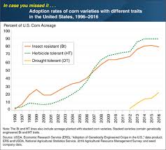 Usda Farmers Adopting Drought Tolerant Corn On Pace With