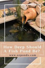 How Deep Should A Fish Pond Be Ozponds