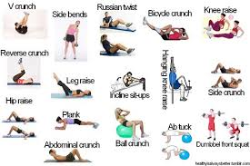 Proteus Home Gym Exercise Chart Read More