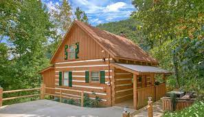 cabins under 100 in pigeon forge tn
