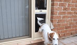 Our Services The Dog Door Guy Doggy