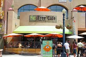 review of fig tree cafe