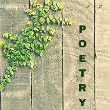 poetry series what is poetry and why