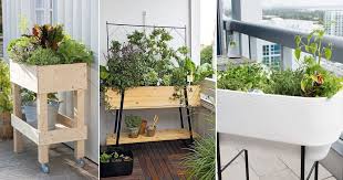 Raised Bed Ideas For Balcony Gardeners