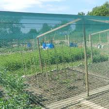 crop protection vegetable garden tenax